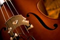 Double Bass Royalty Free Stock Photo