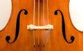 Double Bass