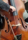 Double bass being plucked