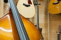 Double bass body and string close up