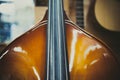 Double bass body and string close up