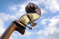 Double bass, detail of the music instrument neck, head with tu