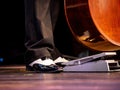 Double bass detail, musician plays bass part in jazz orchestra