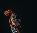 Double bass head stock with strings and tuners Royalty Free Stock Photo