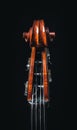 Double bass head stock with strings and tuners Royalty Free Stock Photo