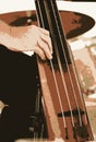 Double Bass Instrument