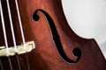 Close up of a violin ready to play Royalty Free Stock Photo