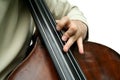 Double bass player