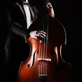 Double bass player contrabass Royalty Free Stock Photo