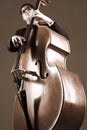 Double bass player with contrabass Royalty Free Stock Photo