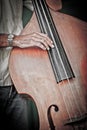 Double bass player,cuba Royalty Free Stock Photo