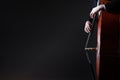 Double bass player playing contrabass Royalty Free Stock Photo