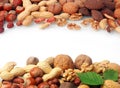 Double border of a selection of fresh nuts