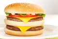 Double cheese burger Royalty Free Stock Photo