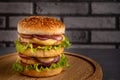 Double cheese burger Royalty Free Stock Photo