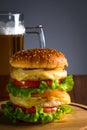 double cheese burger Royalty Free Stock Photo