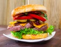 Double cheese burger with meat rissole Royalty Free Stock Photo