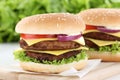 Double cheeseburger hamburger burger tomatoes cheese Royalty Free Stock Photo