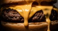 Double Cheeseburger with Melted Cheese and Beef Royalty Free Stock Photo