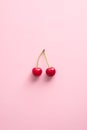 Double cherry berries on pink background. Flat lay, top view Royalty Free Stock Photo