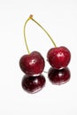Double Cherry with reflection on a light background
