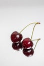 Double Cherry with reflection on a light background