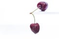 Double cherry stem on a white table, close up, isolated, macro photography