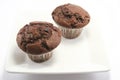 Double Choc Chip Muffins Royalty Free Stock Photo