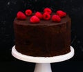 Double chocolate cake Royalty Free Stock Photo