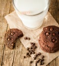 Double chocolate chip cookies Royalty Free Stock Photo