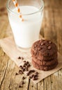 Double chocolate chip cookies Royalty Free Stock Photo