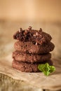 Double chocolate chip cookies Royalty Free Stock Photo