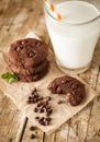 Double chocolate chip cookies Royalty Free Stock Photo