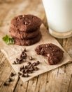 Double chocolate chip cookies Royalty Free Stock Photo