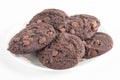 Double Chocolate Chip Cookies on a plate Royalty Free Stock Photo