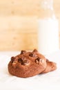 Double chocolate chip cookies Royalty Free Stock Photo