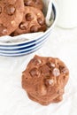 Double chocolate chip cookies Royalty Free Stock Photo