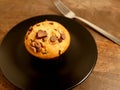 Double Chocolate Chip Muffin on Royalty Free Stock Photo