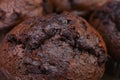Double Chocolate Chip Muffin Close Up Royalty Free Stock Photo