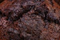 Double Chocolate Chip Muffin Close Up Royalty Free Stock Photo