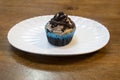 Double chocolate choco chip cup cake Royalty Free Stock Photo