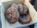 double chocolate cookies from a bakery Royalty Free Stock Photo