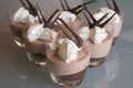 Double chocolate mousse with cream Royalty Free Stock Photo