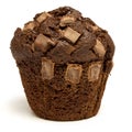 Double Chocolate Muffin