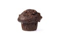 Chocolate Muffin Isolated On White
