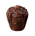 A double chocolate muffin Royalty Free Stock Photo