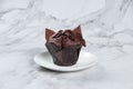 Double Chocolate Muffin Served in a dish side view on grey background Royalty Free Stock Photo