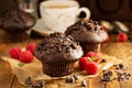 Double chocolate muffins with raspberry