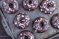 Double Chocolate Peppermint Iced Donuts Royalty Free Stock Photo