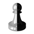 Double color chess pawn
